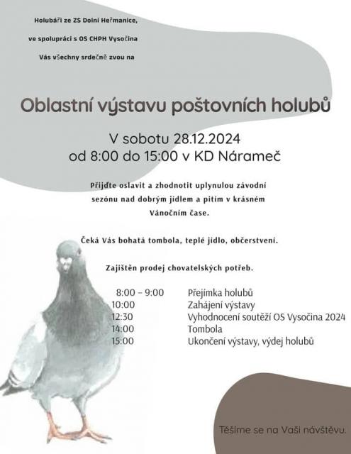 Výstava holubů.jpg